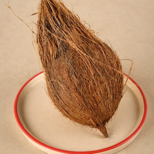 Brown Coconut (Narikol)