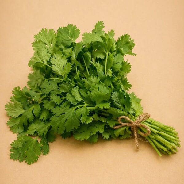 Coriander Bunch(Dhoniya Patt)