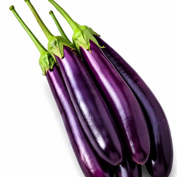 Long Brinjal (Bengena)