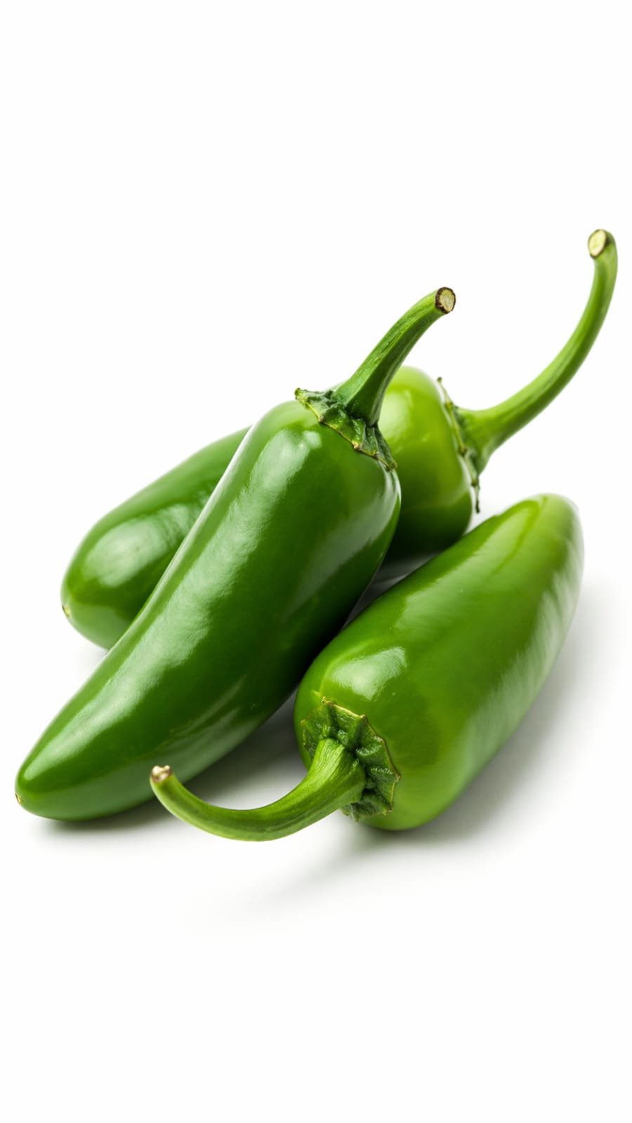 Picador Chilli ( Long Capsicum)