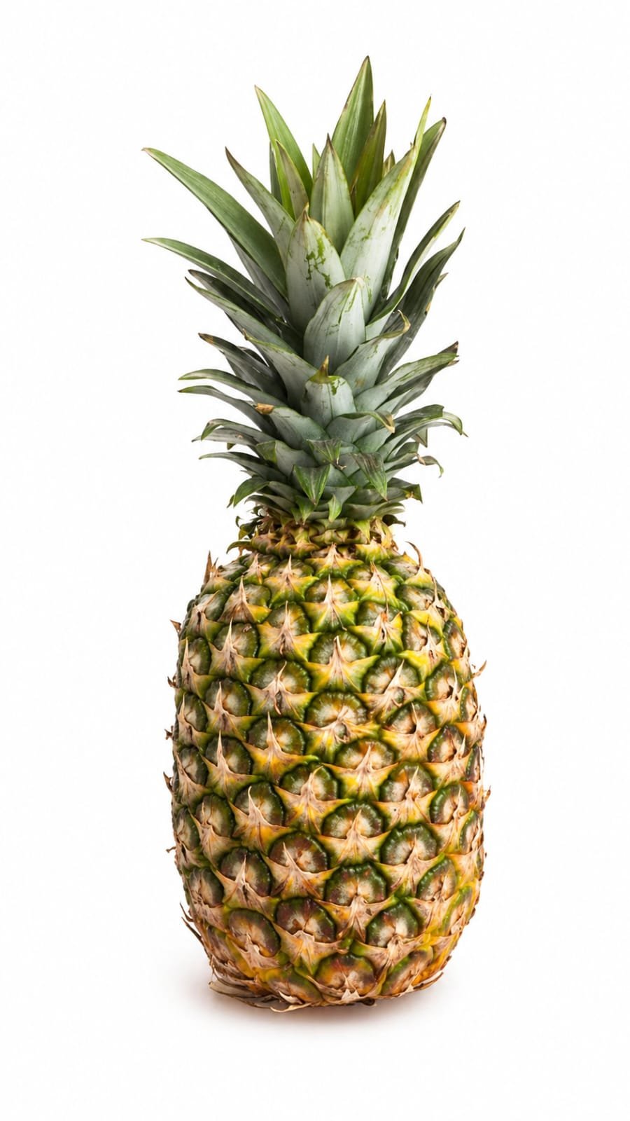Pineapple (Mati Kothal)