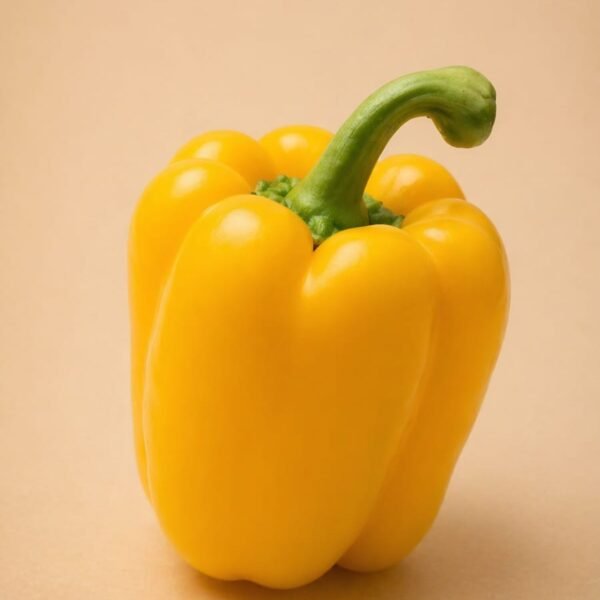 Yellow Bell Papper